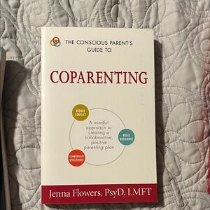The Conscious Parent's Guide to Coparenting Book